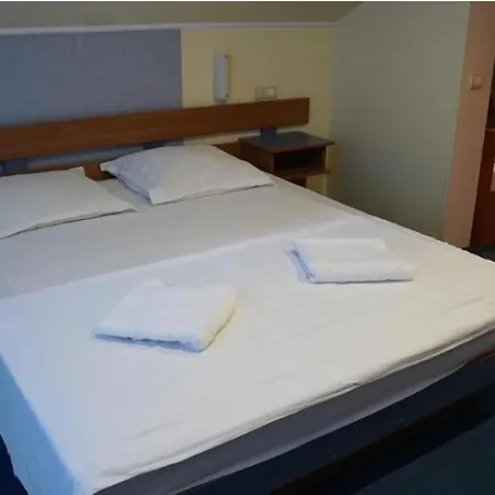 Guest house Pensiunea Rosa Maria *